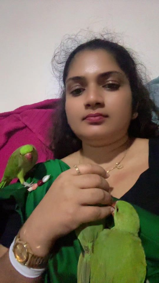 TikTok video thumbnail by parrot.danu