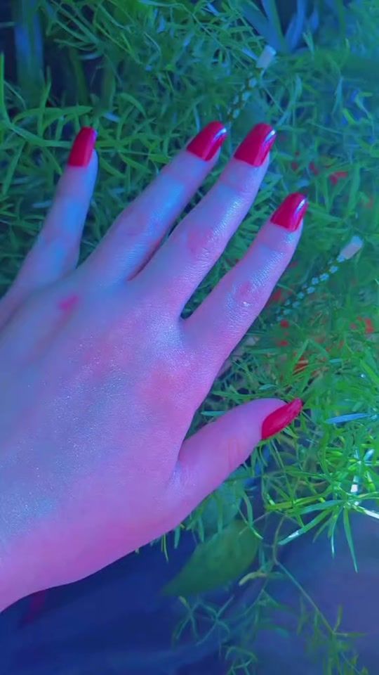 TikTok video thumbnail by hty641