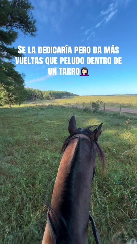 TikTok video thumbnail by florgomez738