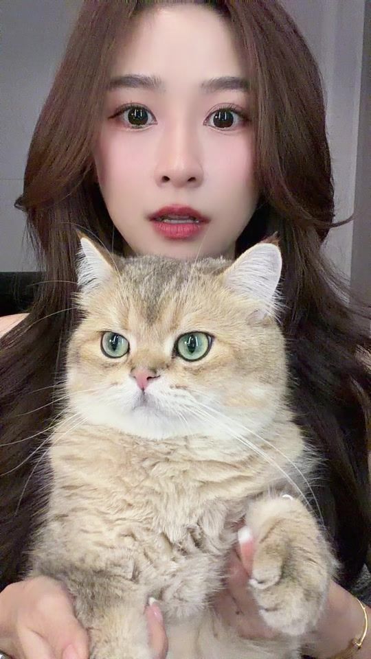 TikTok video thumbnail by porsche_paycho