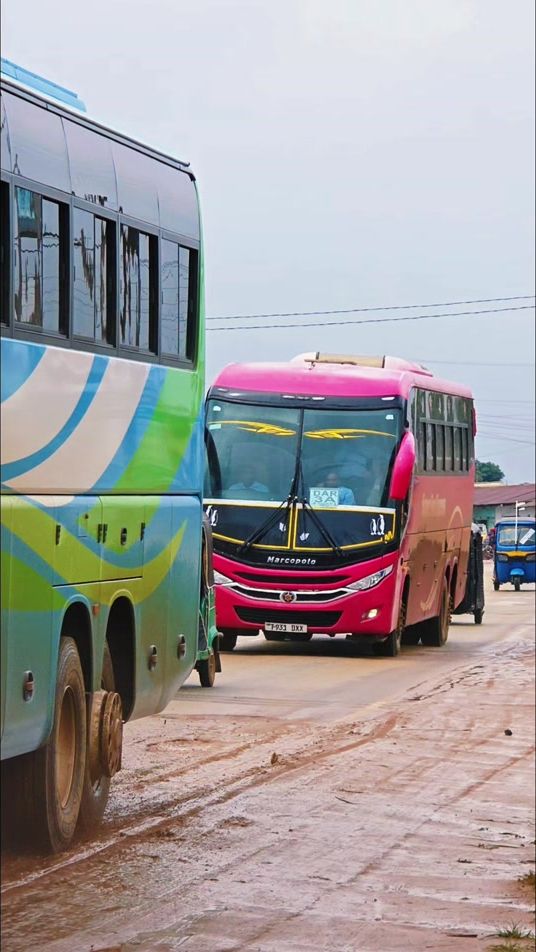 TikTok video thumbnail by officialtwing