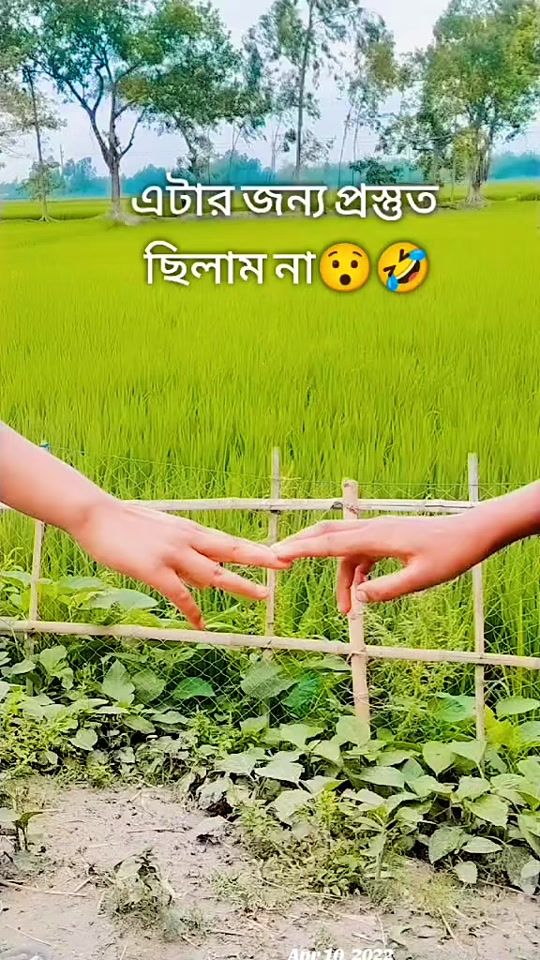 TikTok video thumbnail by liton783