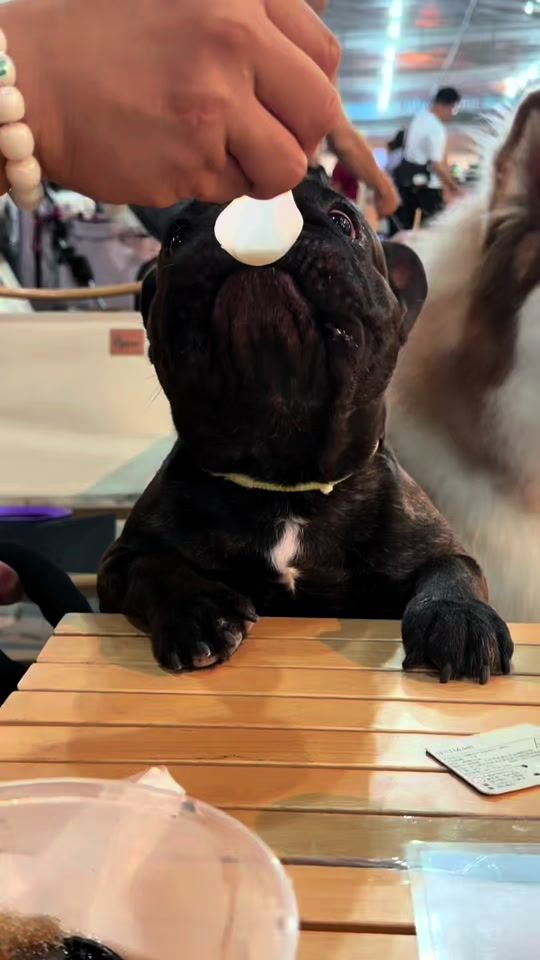 TikTok video thumbnail by nottyapple7
