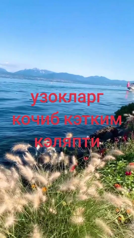 TikTok video thumbnail by user5929694699679