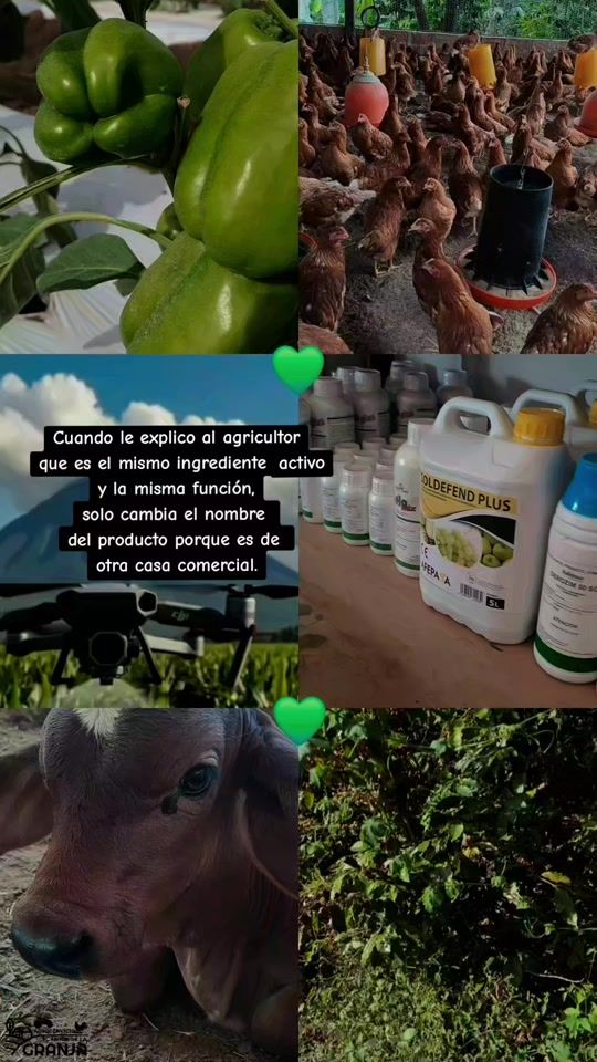 TikTok video thumbnail by amigo_de_la_granja