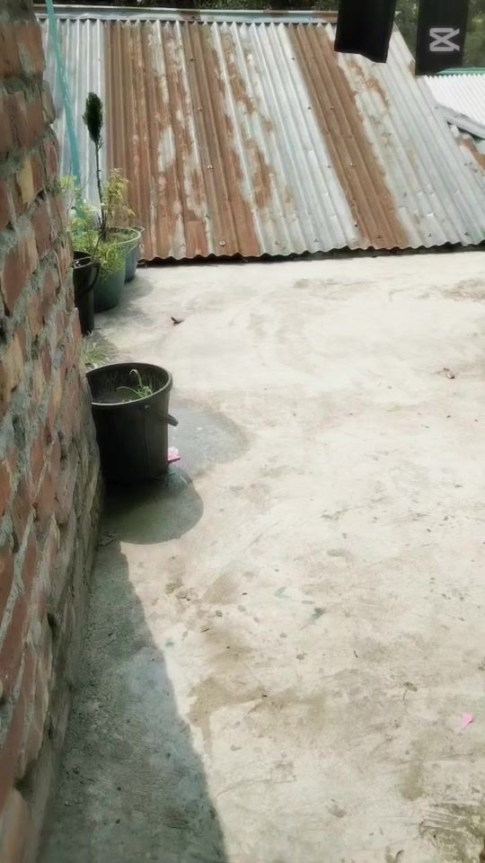 TikTok video thumbnail by liya_sheikh