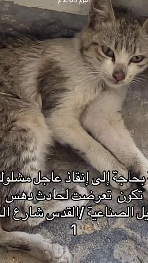 TikTok video thumbnail by marxsis644