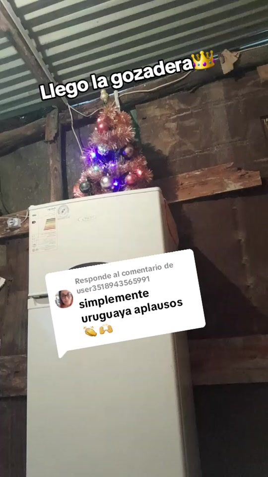 TikTok video thumbnail by larosario13