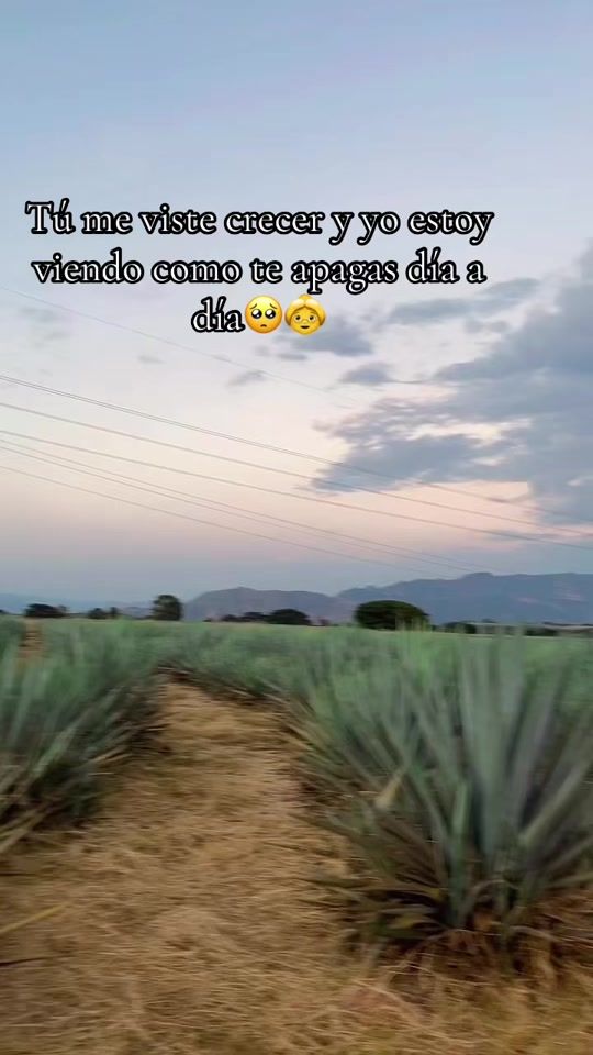 TikTok video thumbnail by eddyperez94