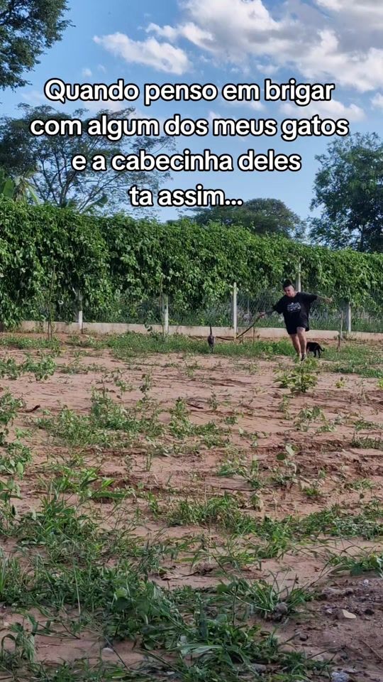 TikTok video thumbnail by pegadasitinerantes