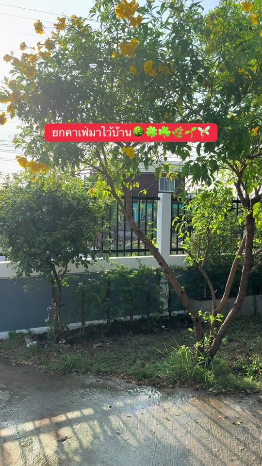 TikTok video thumbnail by kookkik322