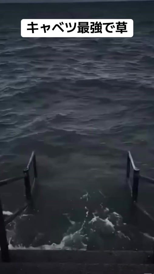 TikTok video thumbnail by xtter2