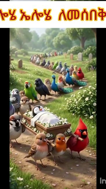 TikTok video thumbnail by evanglist2266