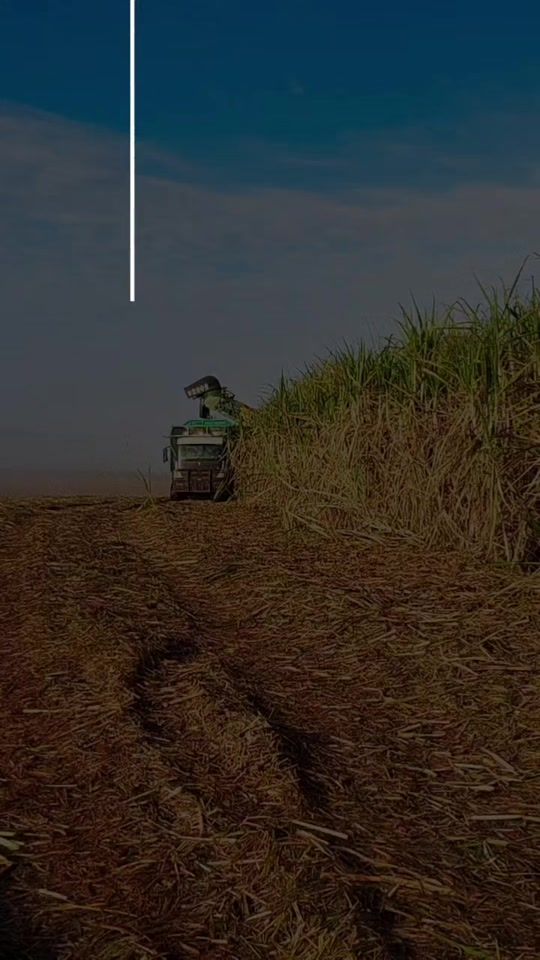 TikTok video thumbnail by valdo852