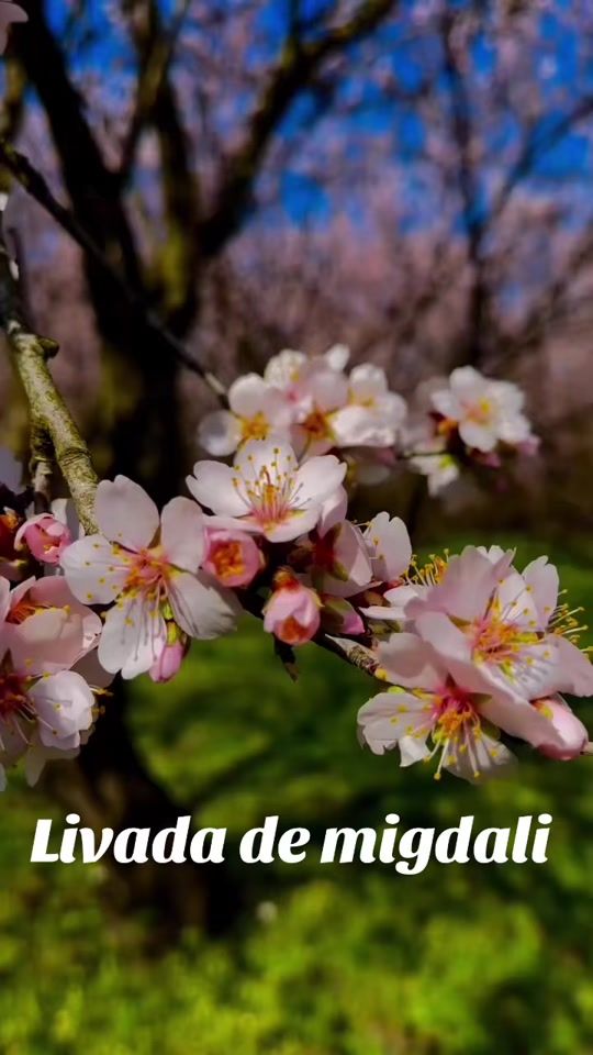 TikTok video thumbnail by ludmila00