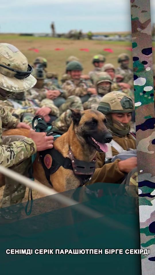 TikTok video thumbnail by army.oskemen