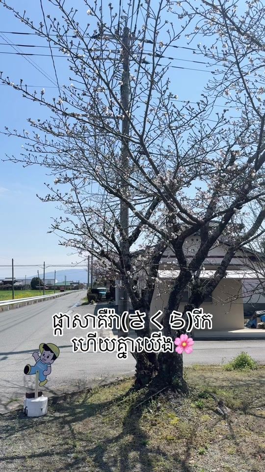 TikTok video thumbnail by rt_kh_jp