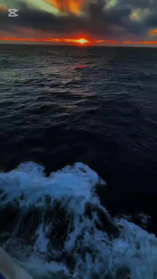 TikTok video thumbnail by mert_can3434.1