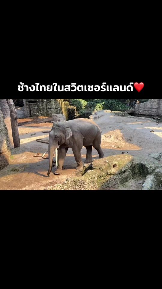 TikTok video thumbnail by apro055