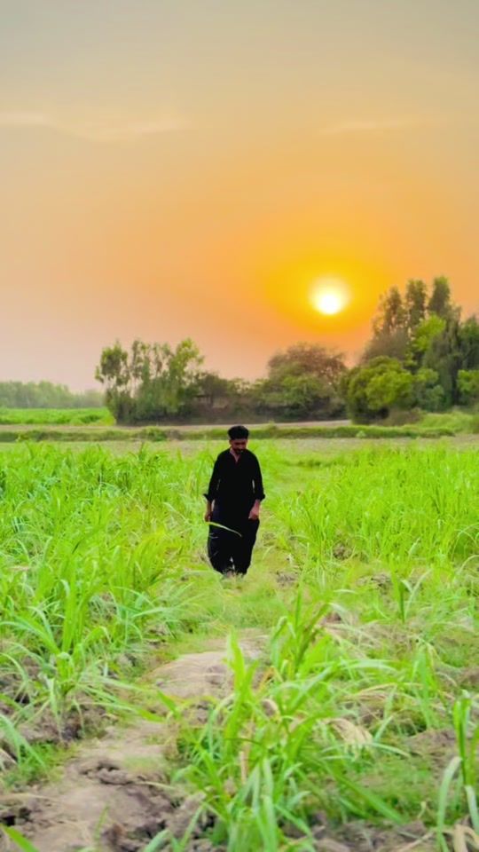 TikTok video thumbnail by mohammadmari21