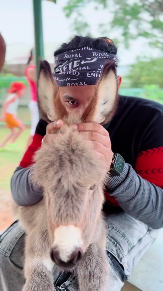 TikTok video thumbnail by pet_talk