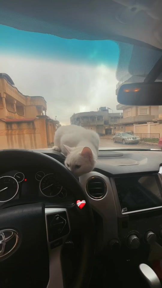 TikTok video thumbnail by nonial_24