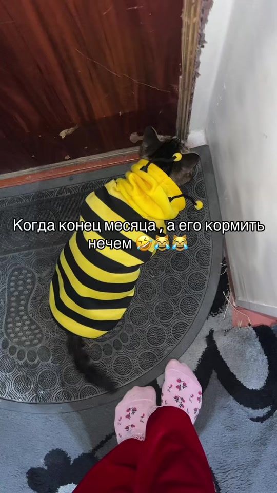 TikTok video thumbnail by n1sowa