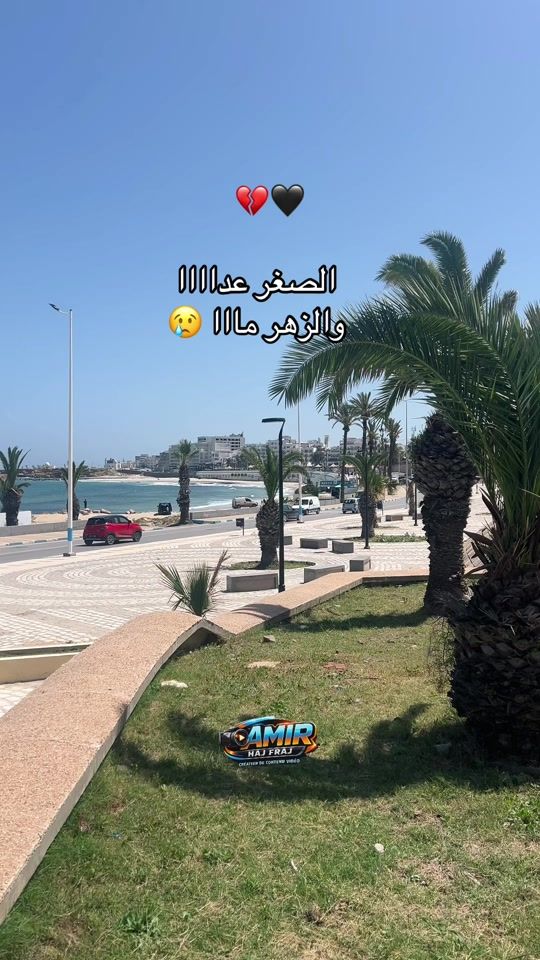 TikTok video thumbnail by photographey.amir.h.f