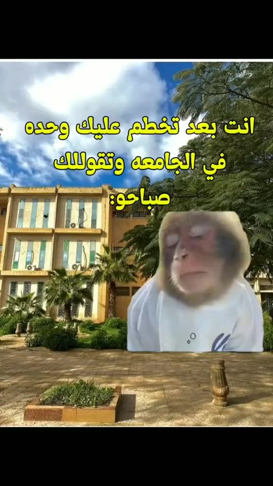TikTok video thumbnail by vx.07i