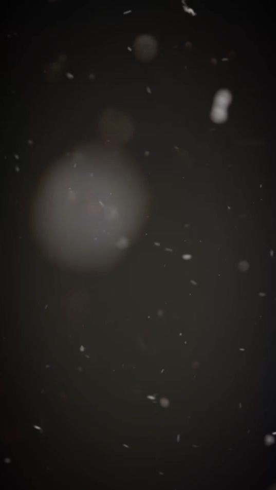 TikTok video thumbnail by fatoosh332