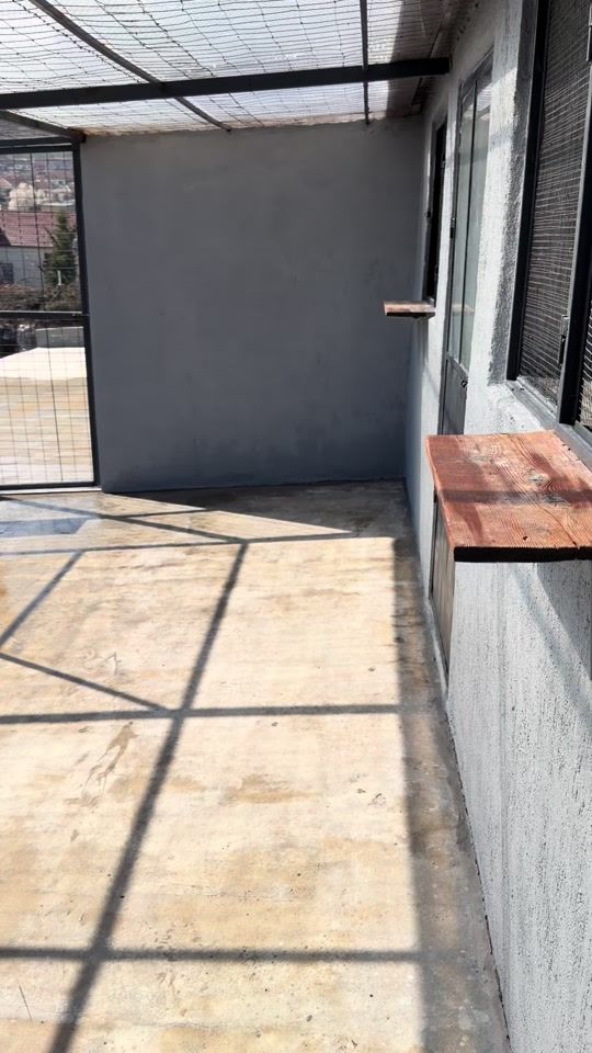 TikTok video thumbnail by unicpigeons