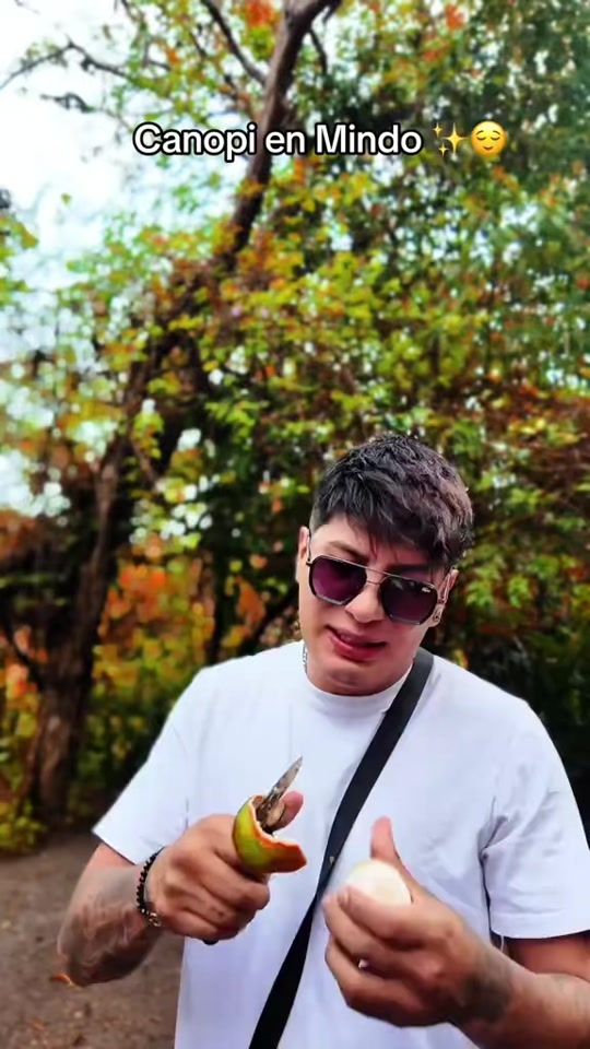TikTok video thumbnail by peejelagarto