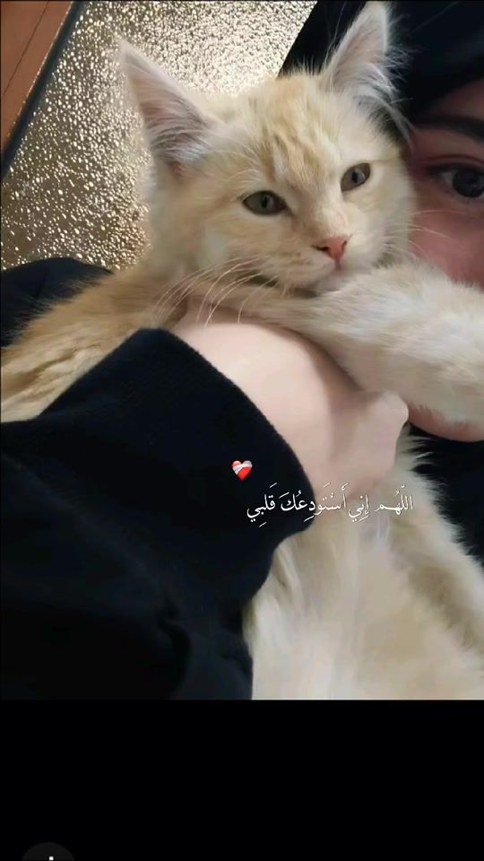 TikTok video thumbnail by rym_44_