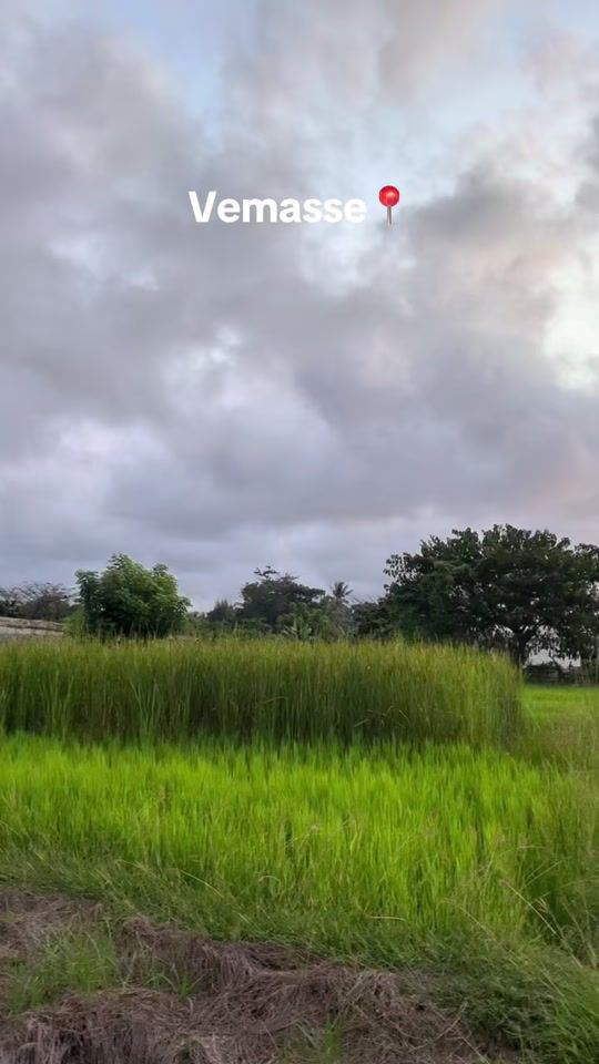 TikTok video thumbnail by n.dsousa
