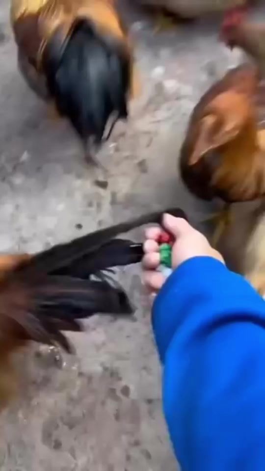 TikTok video thumbnail by o_takkos