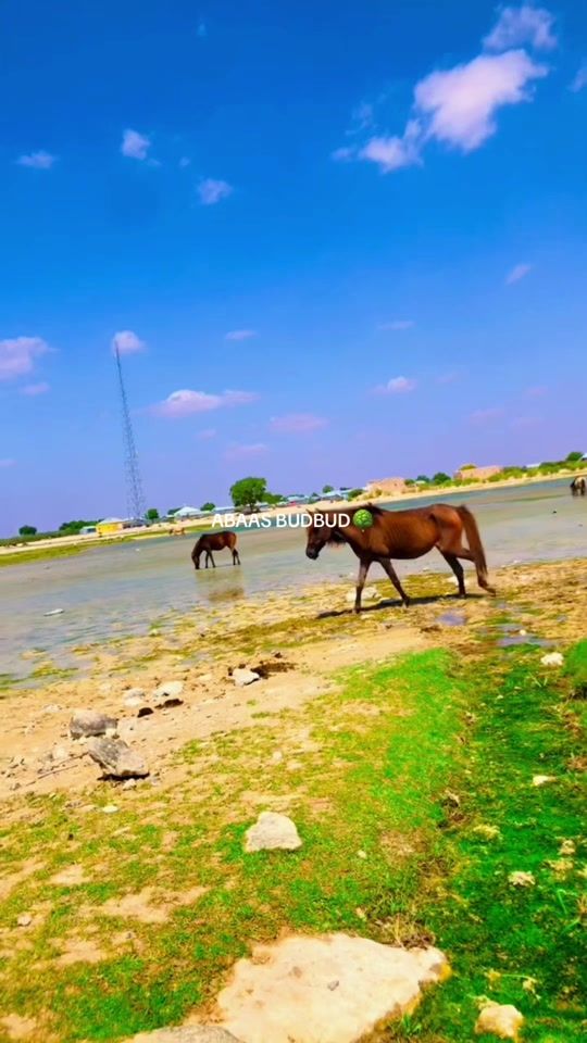 TikTok video thumbnail by abaas__budbud