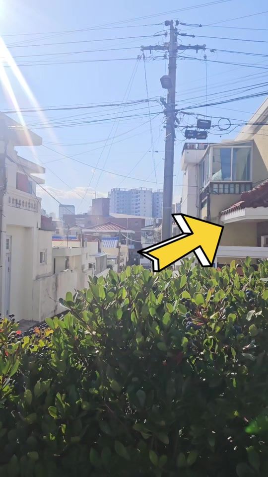 TikTok video thumbnail by sowon0606