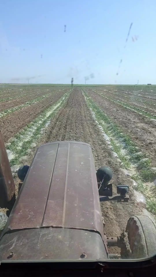 TikTok video thumbnail by bobur8646