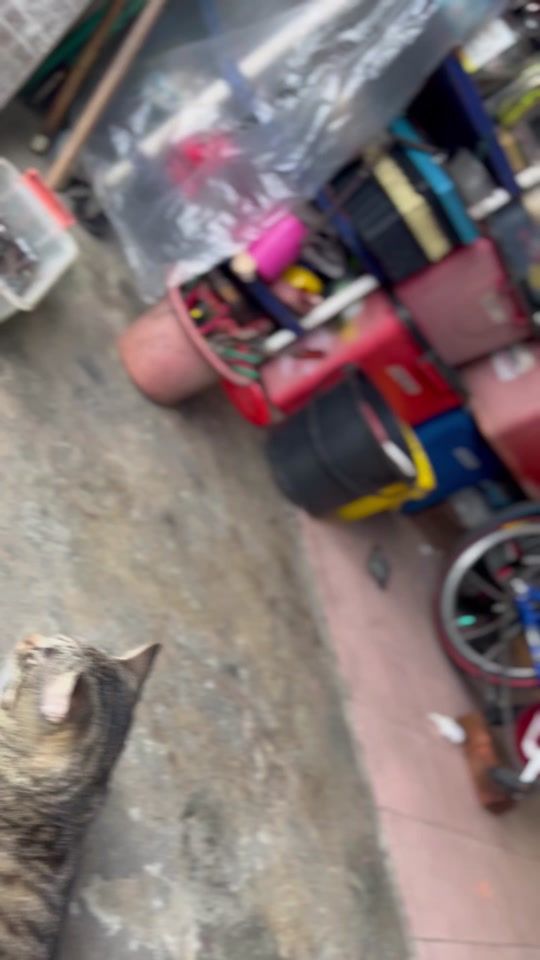 TikTok video thumbnail by jebat.__
