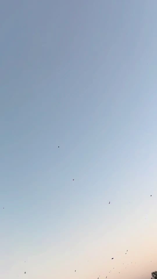 TikTok video thumbnail by brandxkhan