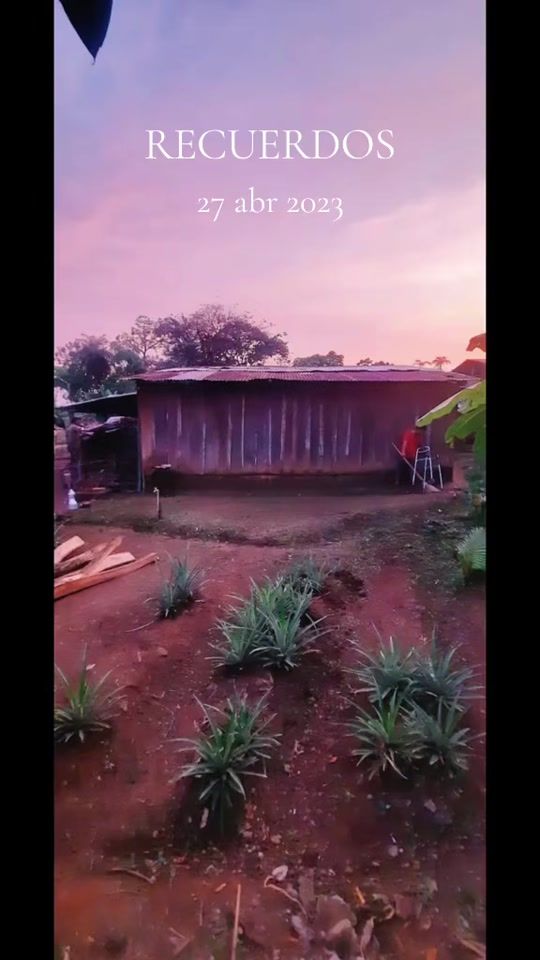 TikTok video thumbnail by marcisneros17