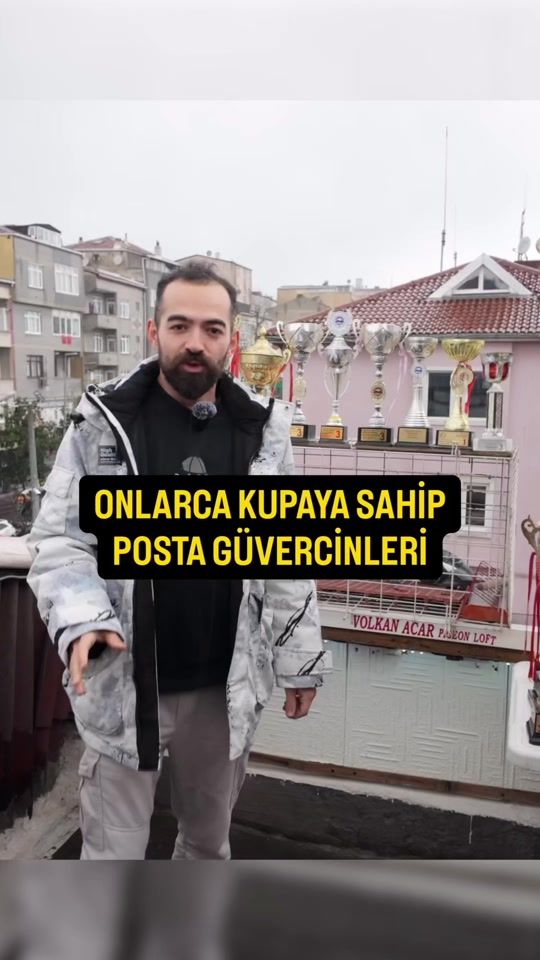 TikTok video thumbnail by hayvan1herif