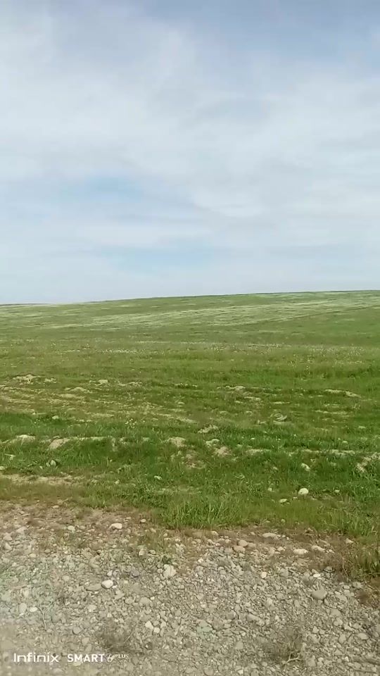 TikTok video thumbnail by shonazar.davlatov