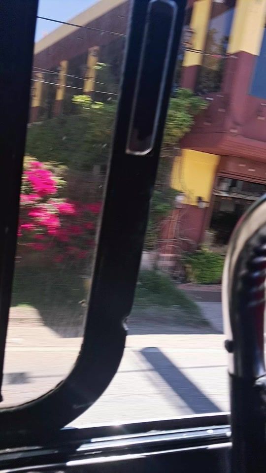 TikTok video thumbnail by laelisabeth1