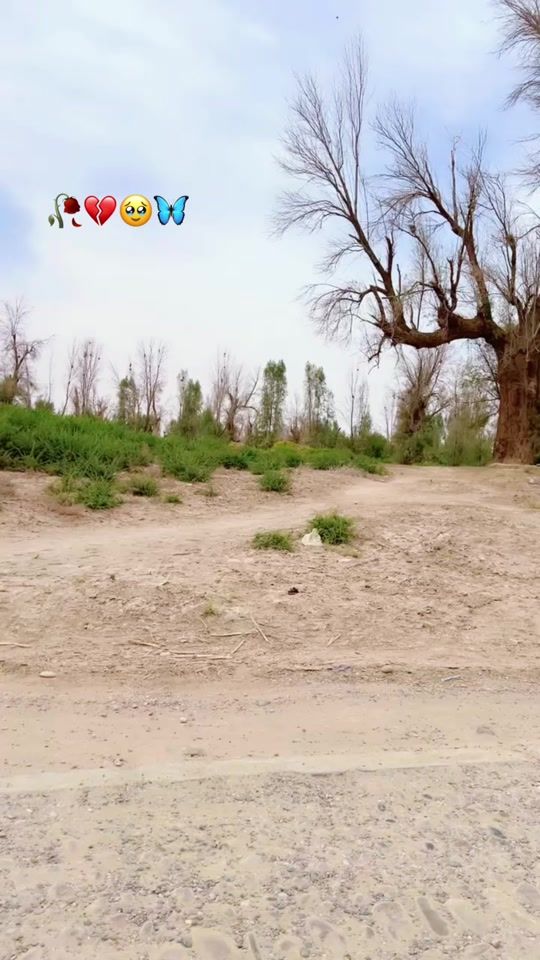 TikTok video thumbnail by dr.freba