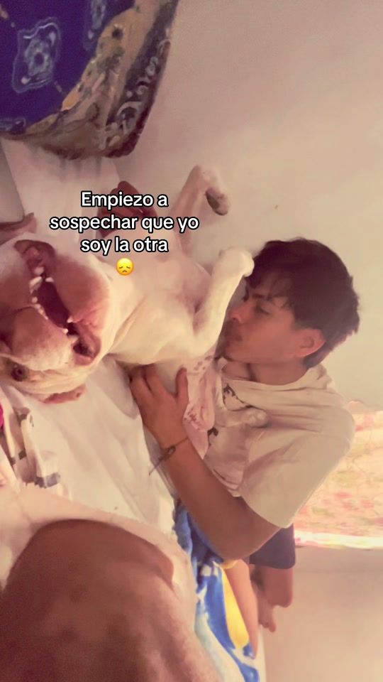 TikTok video thumbnail by azxu_0