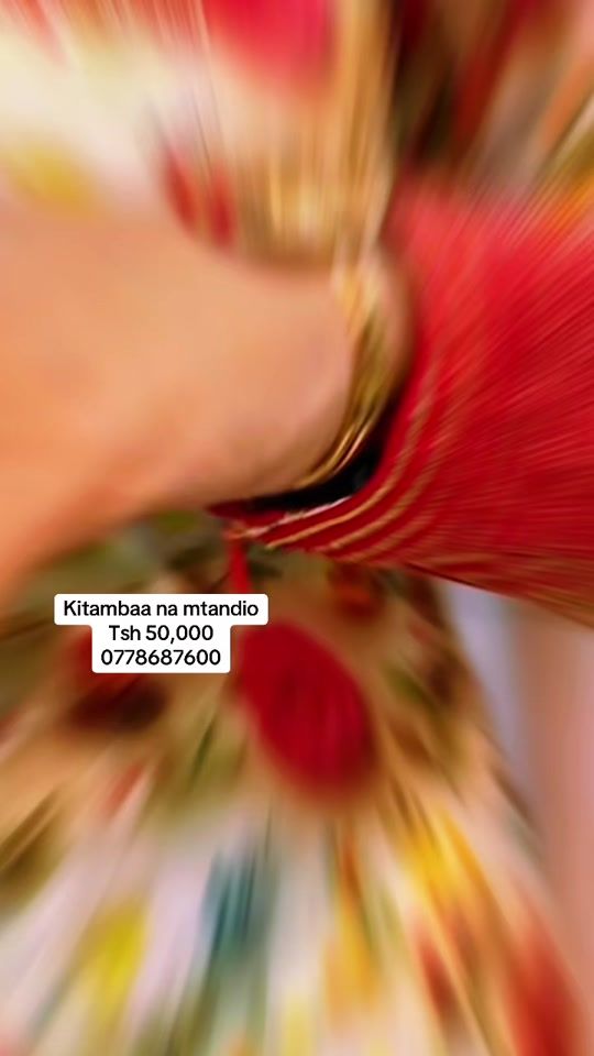 TikTok video thumbnail by raudhat.collections
