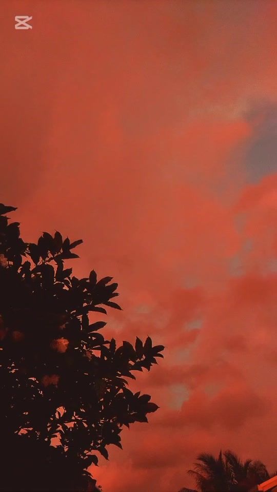TikTok video thumbnail by fthmthsn