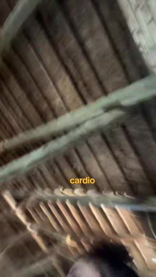 TikTok video thumbnail by thechad15