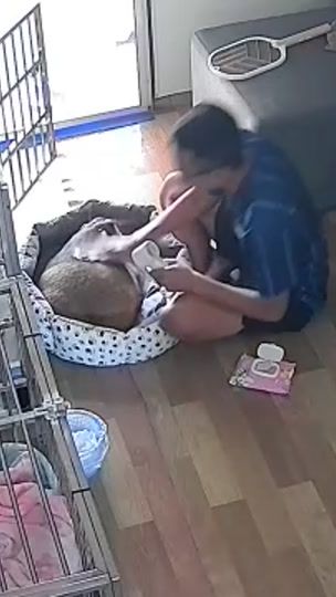 TikTok video thumbnail by puca.family